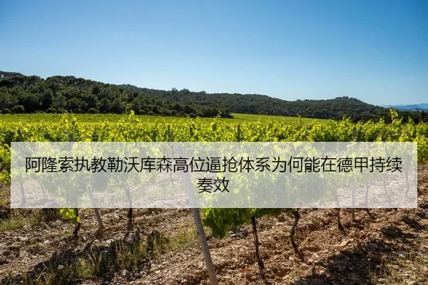 阿隆索执教勒沃库森高位逼抢体系为何能在德甲持续奏效